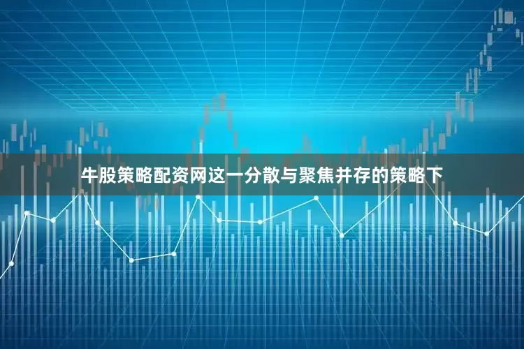 牛股策略配资网这一分散与聚焦并存的策略下