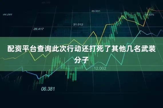 配资平台查询此次行动还打死了其他几名武装分子