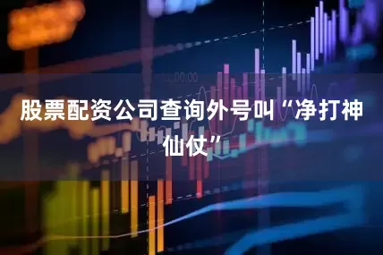 股票配资公司查询外号叫“净打神仙仗”