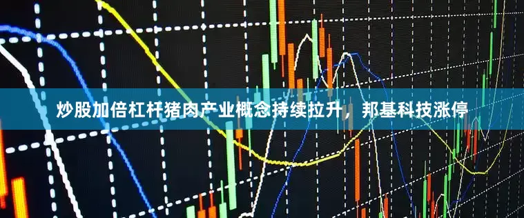 炒股加倍杠杆猪肉产业概念持续拉升，邦基科技涨停