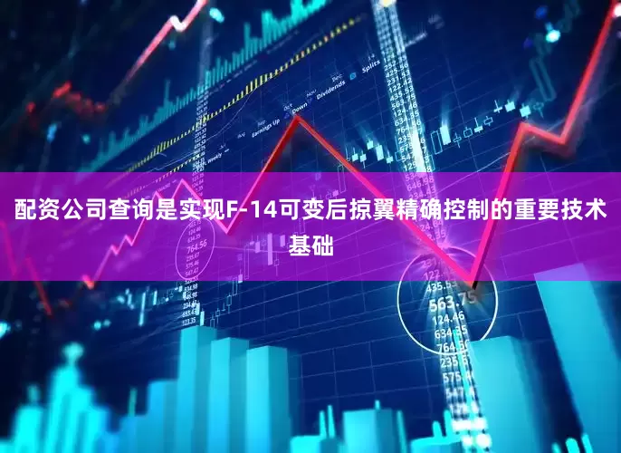 配资公司查询是实现F-14可变后掠翼精确控制的重要技术基础