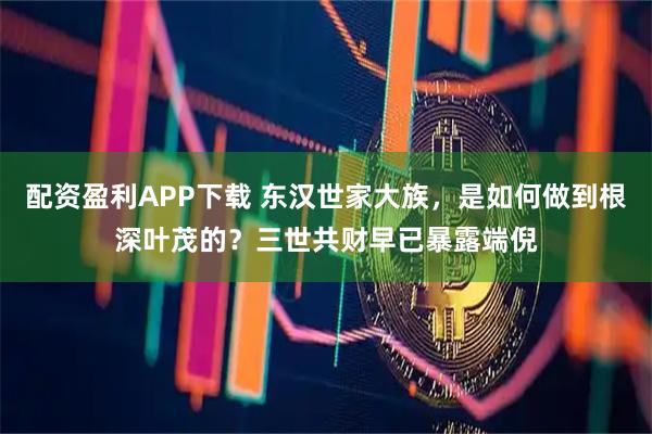配资盈利APP下载 东汉世家大族，是如何做到根深叶茂的？三世共财早已暴露端倪